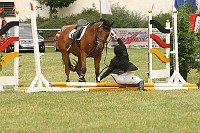 IMG_0037