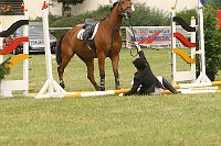 IMG_0040