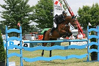 IMG_0016