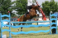 IMG_0063