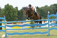 IMG_0010