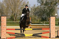 IMG_0006