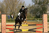 IMG_0010