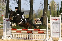 IMG_0011