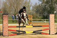 IMG_0020
