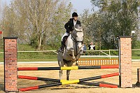 IMG_0026