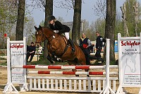 IMG_0011