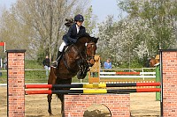 IMG_0037