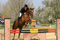 IMG_0041