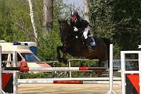 IMG_0003