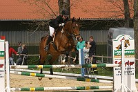 IMG_0061