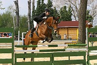 IMG_0062