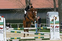 IMG_0067