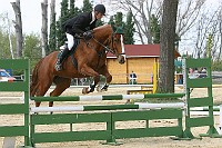 IMG_0074