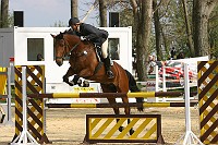 IMG_0013