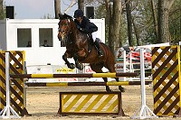 IMG_0017