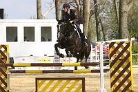 IMG_0034
