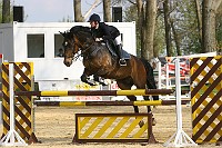 IMG_0042