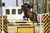 IMG_0050