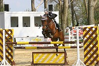 IMG_0054