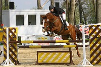 IMG_0062