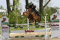 IMG_0006
