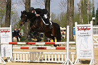 IMG_0013
