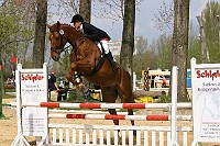IMG_0016