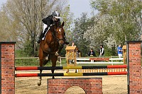 IMG_0017