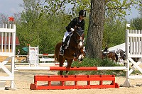 IMG_0006