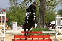 IMG_0008