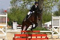 IMG_0010