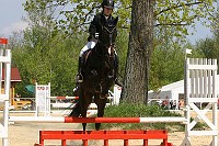 IMG_0012
