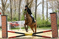 IMG_0017