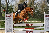 IMG_0029
