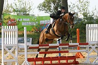 IMG_0050