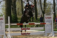 IMG_0005