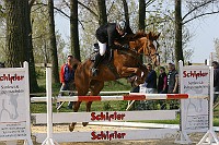 IMG_0006