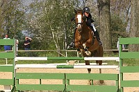 IMG_0017