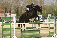 IMG_0003