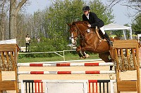 IMG_0010