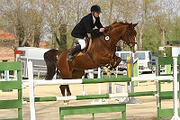 IMG_0011