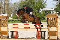 IMG_0028