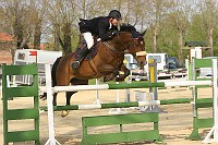 IMG_0029