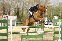 IMG_0035