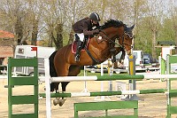 IMG_0038