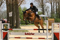 IMG_0012
