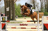IMG_0015