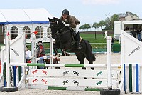 IMG_0011