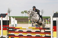 uMG_0004